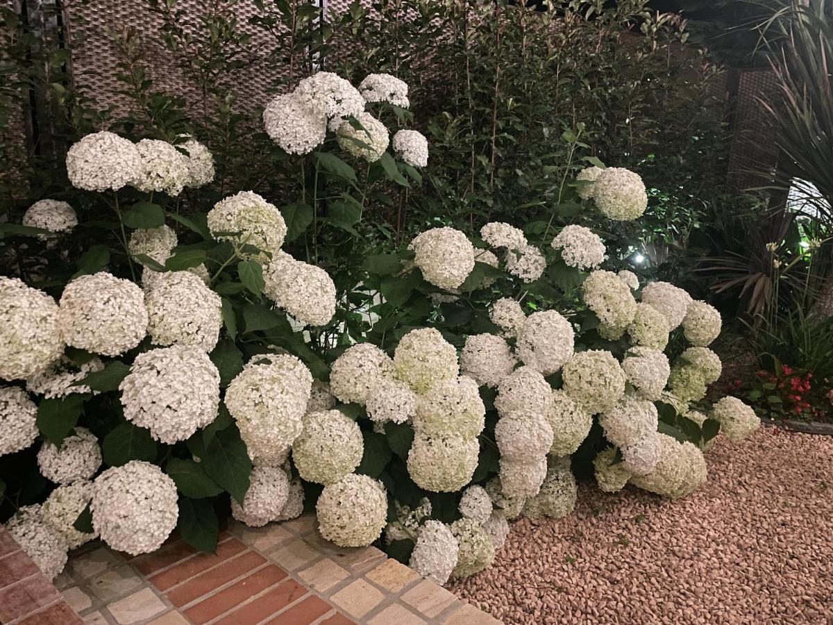 Borgata Cantone Country House B&B Garlenda Kültér fotó