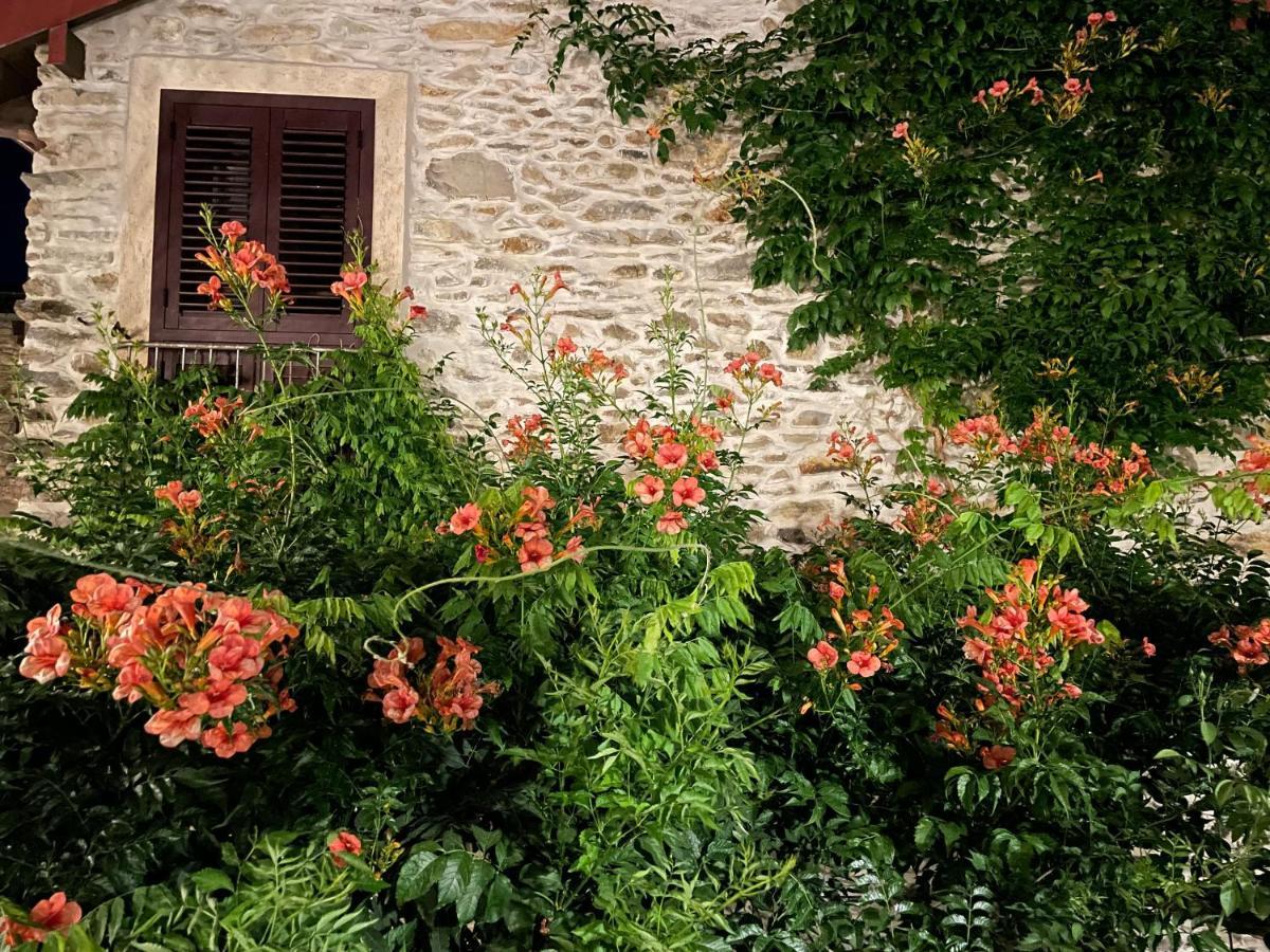 Borgata Cantone Country House B&B Garlenda Kültér fotó