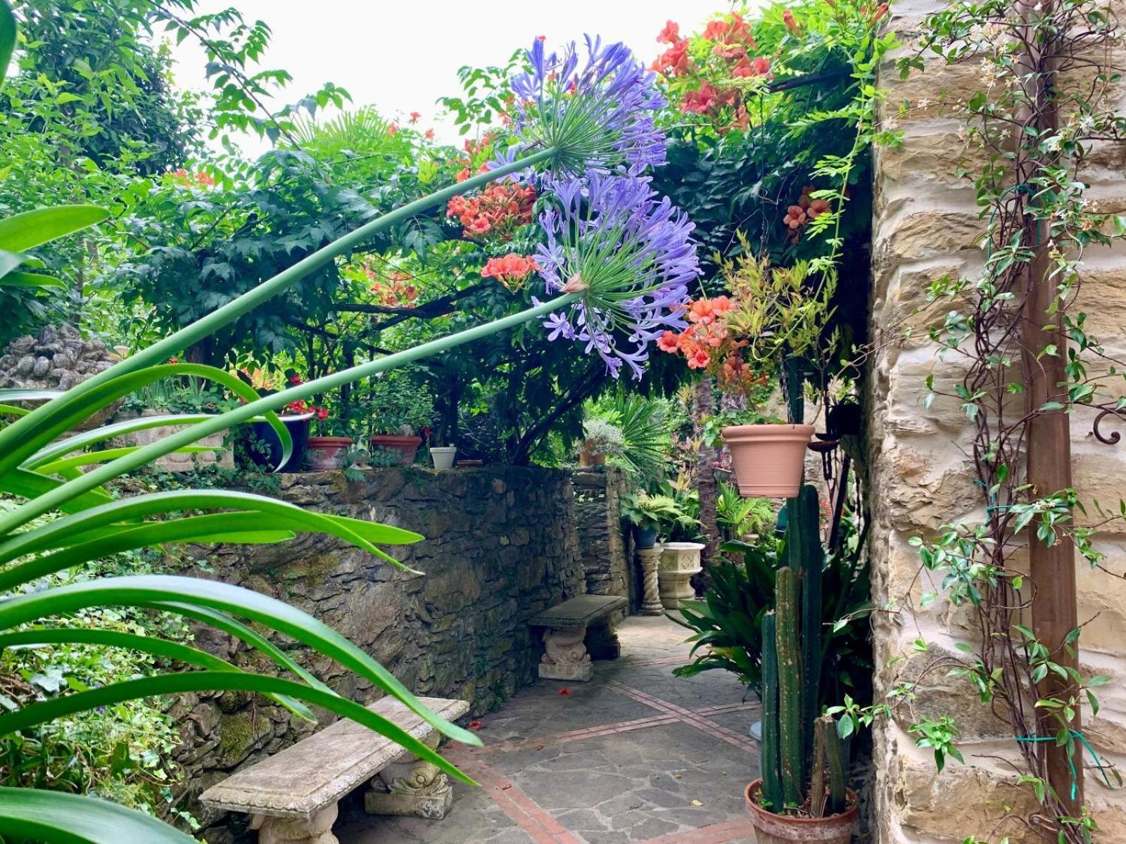Borgata Cantone Country House B&B Garlenda Kültér fotó